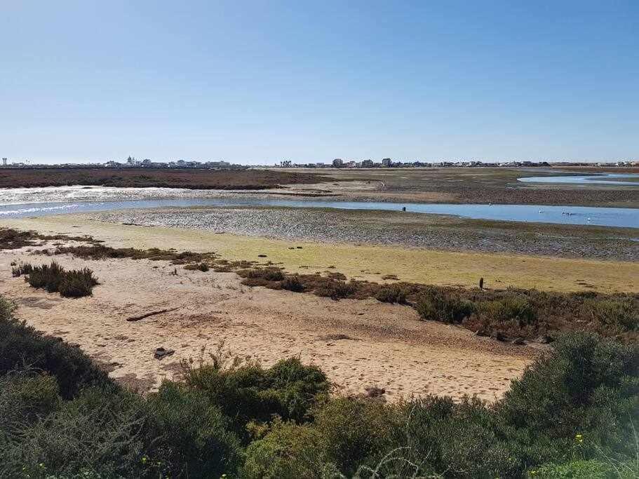 Ria Formosa Pineview Villa Faro Luaran gambar